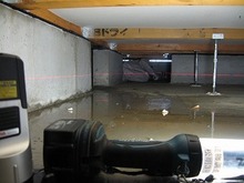 o0320024010750839891[1].jpg
